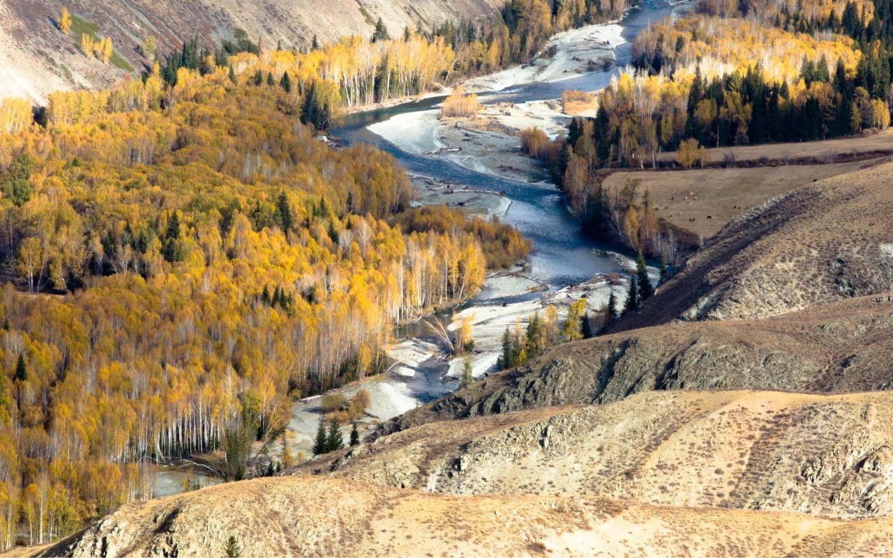 新疆风情，友谊同行之旅