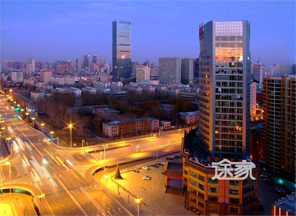 石家庄街头春日阳光画卷