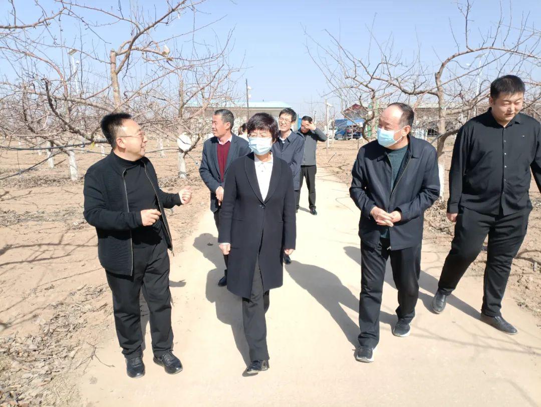 临汾,探索城市魅力